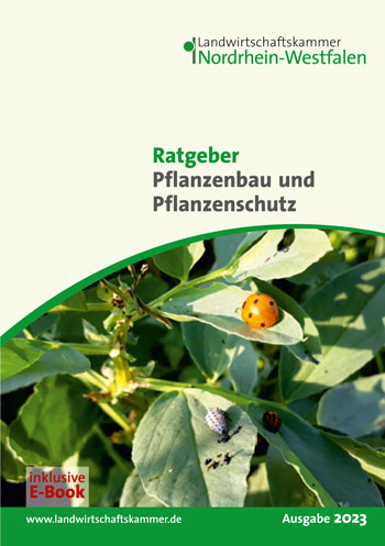 E-Paper Cover